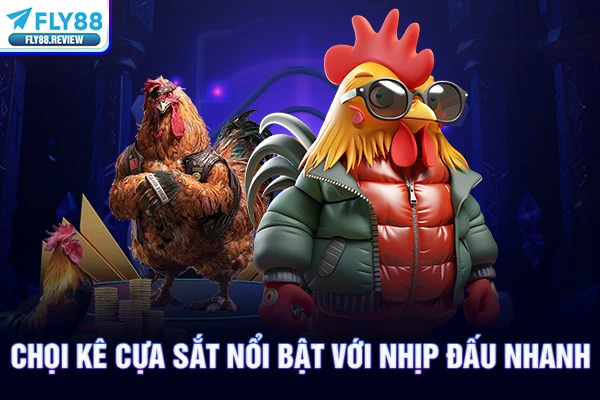 Chọi kê cựa sắt nổi bật với nhịp đấu nhanh Chọi kê cựa sắt nổi bật với nhịp đấu nhanh