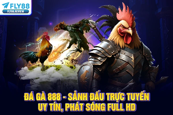 Đá Gà 888 - Sảnh Đấu Trực Tuyến Uy Tín, Phát Sóng Full HD