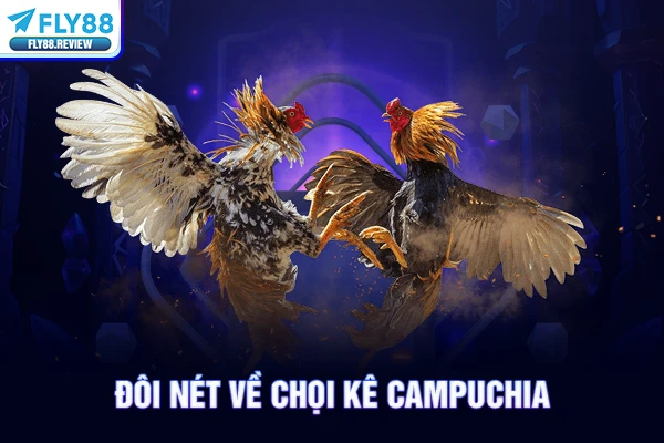 Đôi nét về chọi kê Campuchia