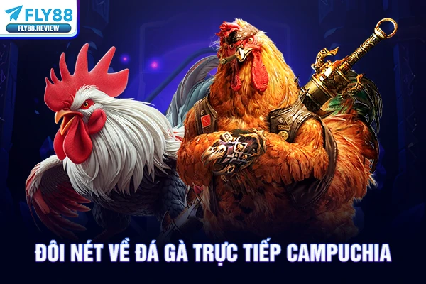 Đôi nét về đá gà trực tiếp Campuchia