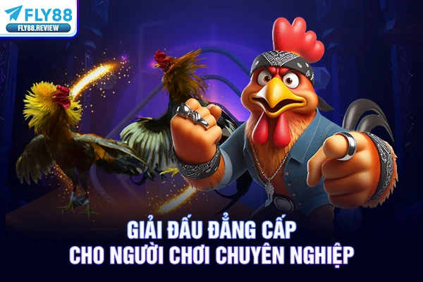 Giải đấu đẳng cấp cho người chơi chuyên nghiệp