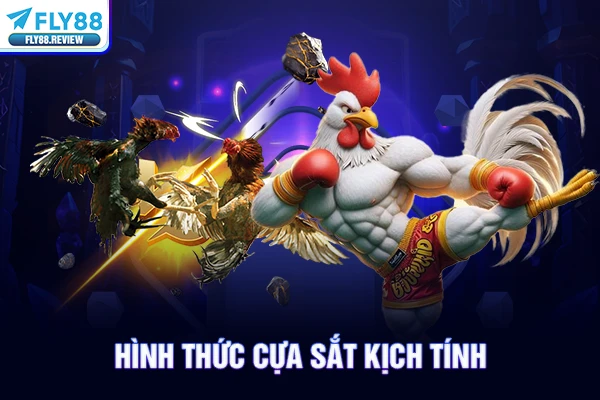 Hình thức cựa sắt kịch tính