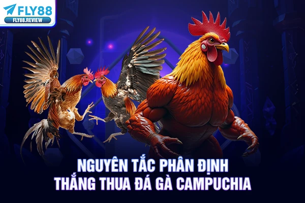 Nguyên tắc phân định thắng thua đá gà Campuchia