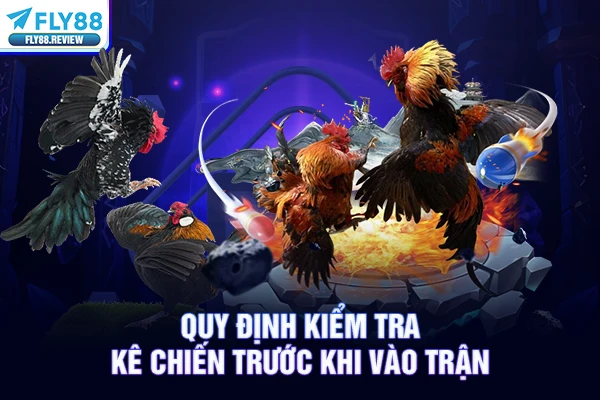 Quy định kiểm tra kê chiến trước khi vào trận