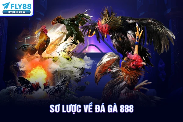 Sơ lược về đá gà 888