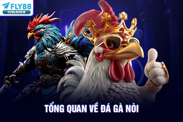 Tổng quan về đá gà nòi Tổng quan về đá gà nòi