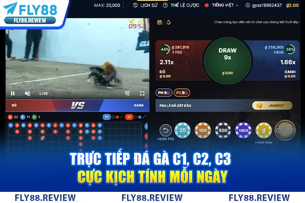 Trực tiếp đá gà C1, C2, C3 cực kịch tính mỗi ngày Trực tiếp đá gà C1, C2, C3 cực kịch tính mỗi ngày